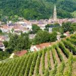 Le Rangen, un Grand Cru d’Alsace méconnu