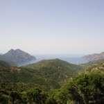 Découvrez la route des vins de Corse