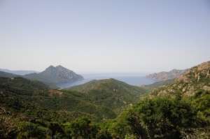 Découvrez la route des vins de Corse