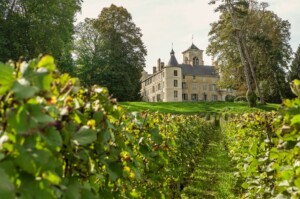 Itinéraire sur la route touristique du champagne