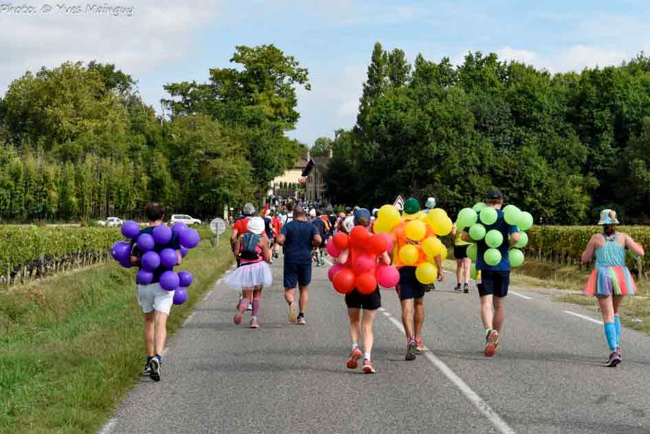 Marathon du Médoc