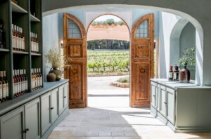portes ouvertes sur le vignoble provençal