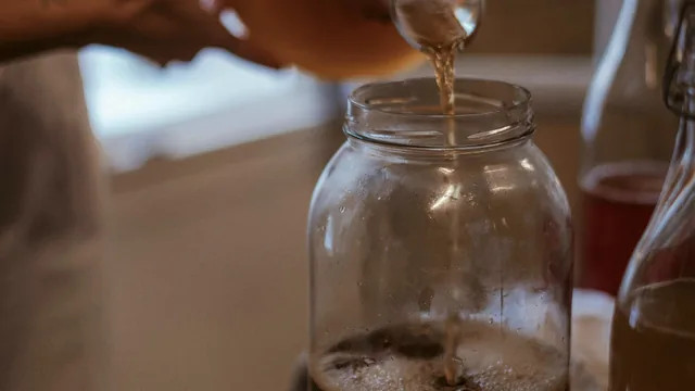 Atelier de fermentation - kombucha