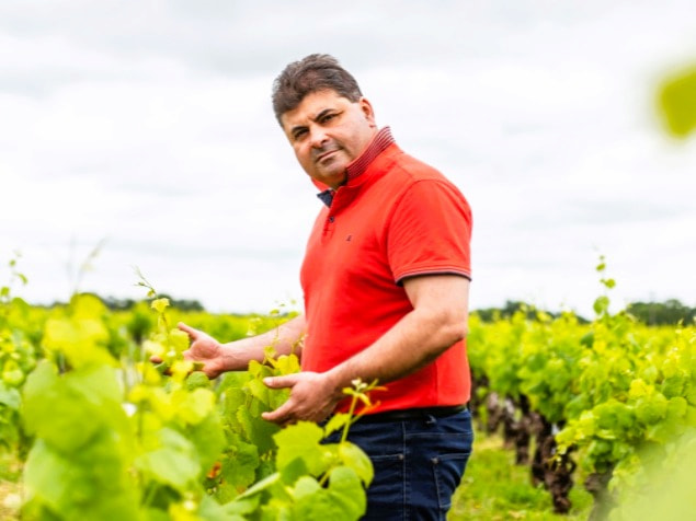 Domaine Raphaël Luneau