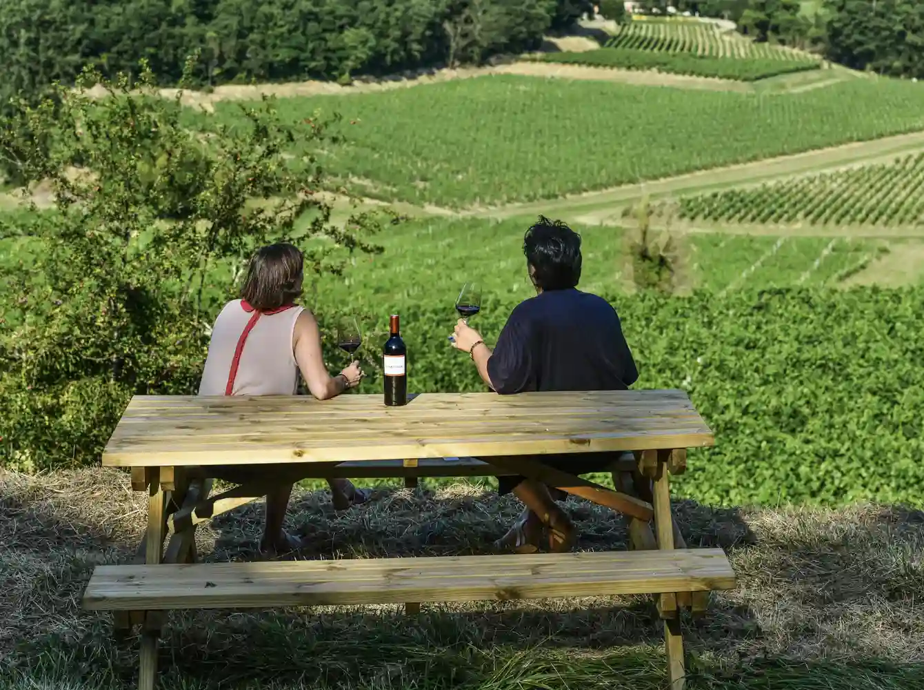 Château La Croizille - Saint Emilion