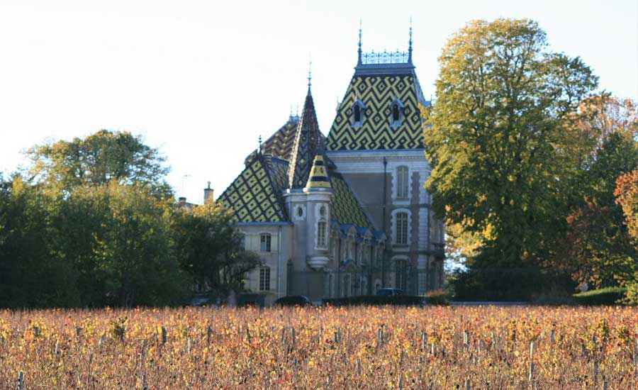 Château Corton C.