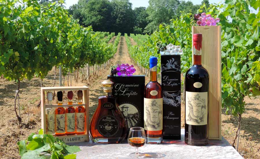 Domaine à Lafitte