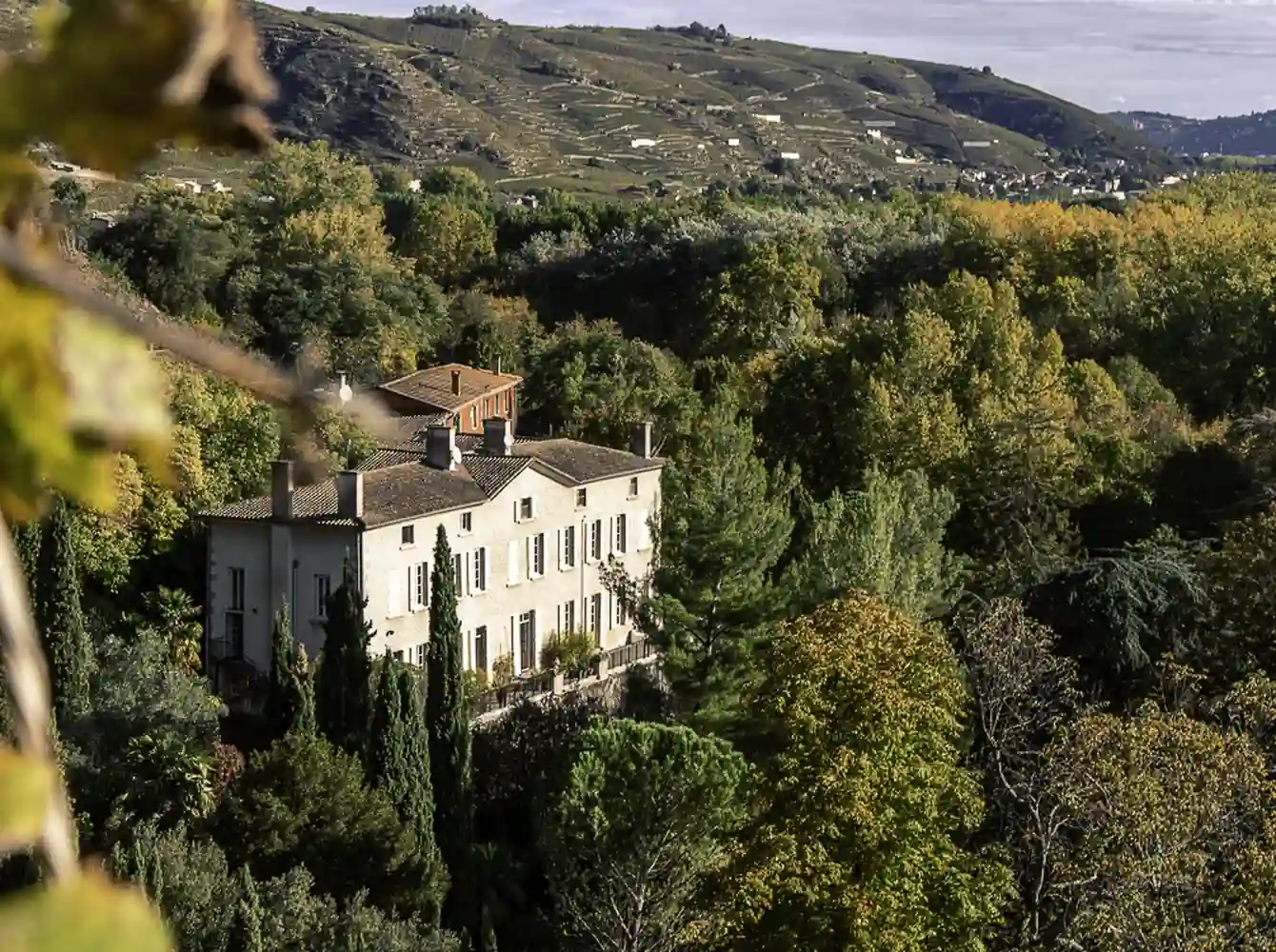 Domaine de Corps de Loup - Vallée du Rhône