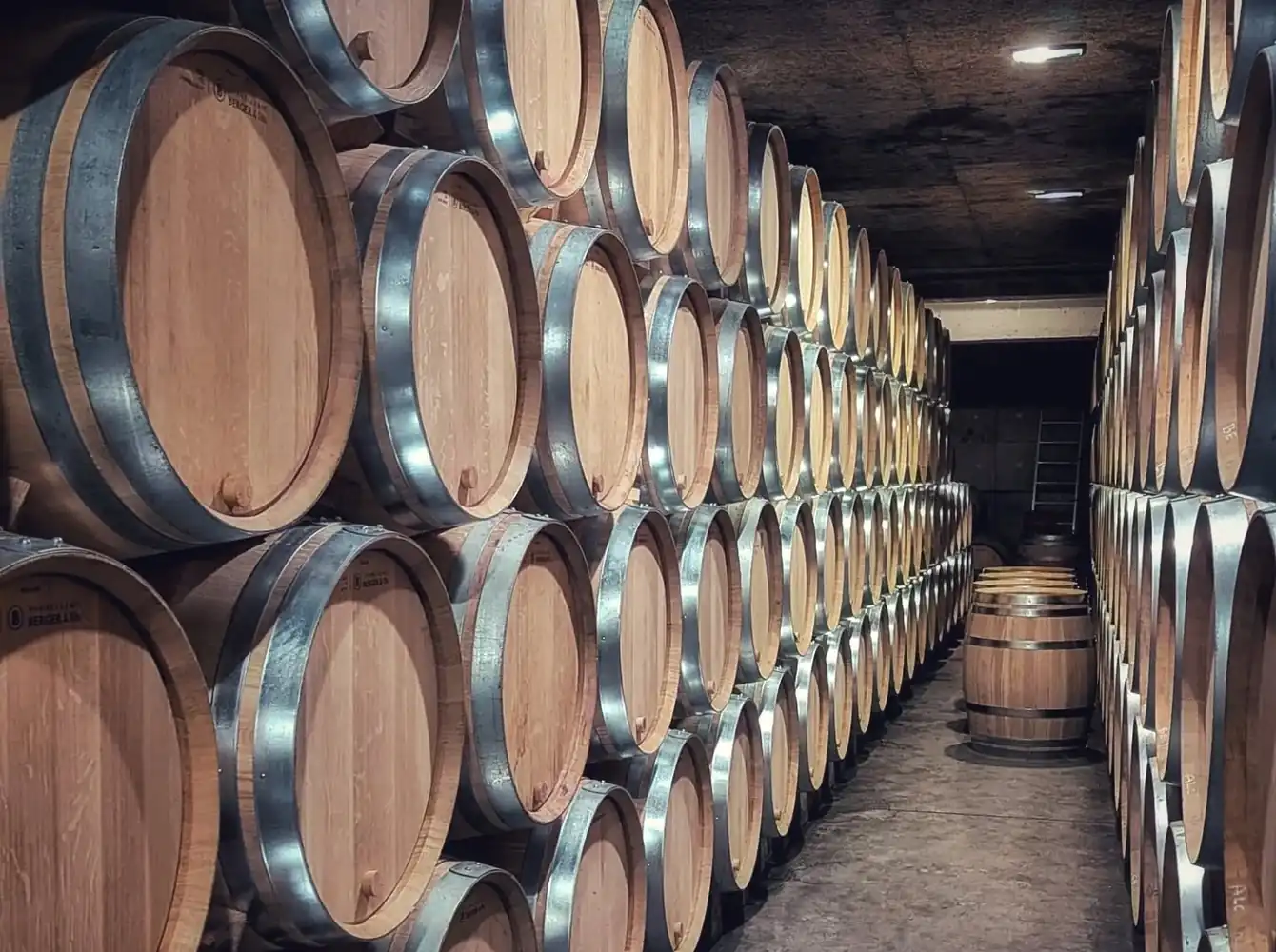 Domaine Manuel Olivier à Nuits-Saint-Georges