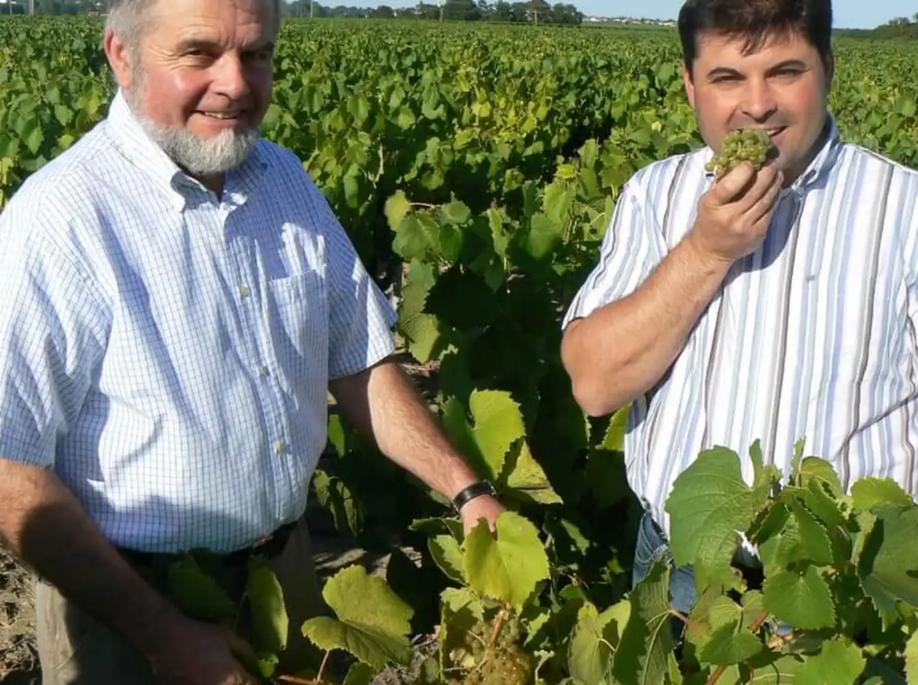 Domaine Raphaël Luneau