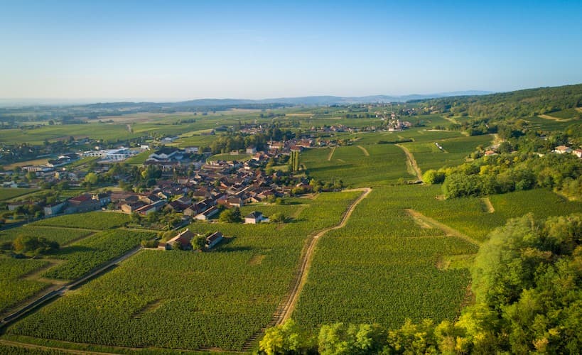 La Maison Vérizet - Cave de Viré
