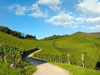 Dormir au coeur du vignoble