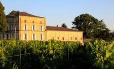 Château - Saint-Emilion