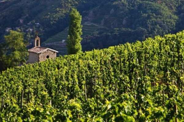 Vallée du Rhône