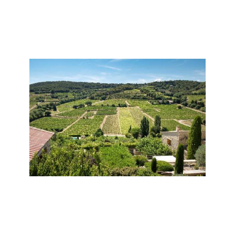 Séjours et week-ends oenologiques en Provence