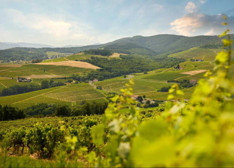Séjours et week-ends oenologiques dans le Beaujolais
