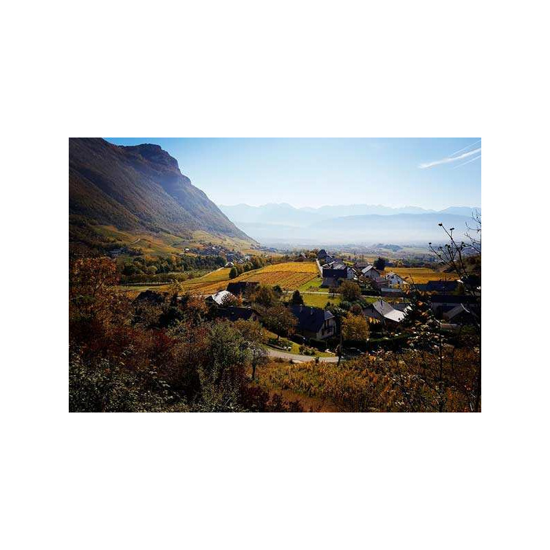 Séjours oenologiques en Savoie
