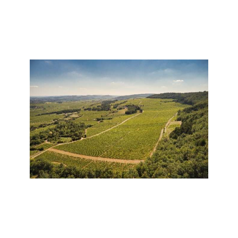 Séjours et week-ends oenologiques Bourgogne
