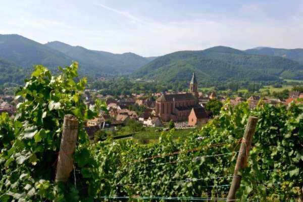Alsace
