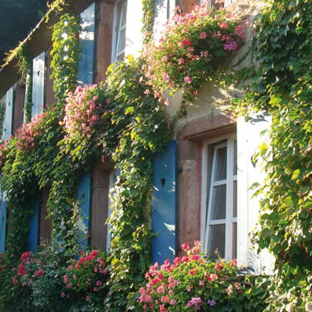 Schaeferhof