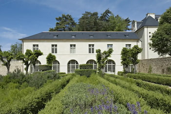 Abbaye de Fontevraud - lavandes