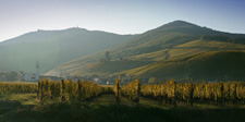 Alsace countryside