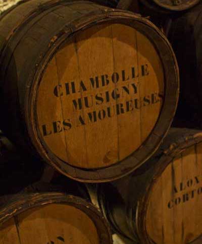 Apprendre à déguster du vin