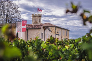 Château Ambe Tour Pourret - wine estate in Saint-Émilion