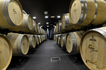 Château La Croizille - Cellars