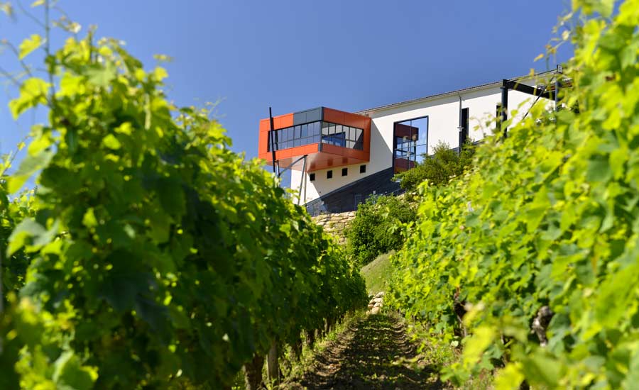 Château La Croizille - Domaine à Saint-Emilion