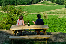 Château La Croizille - Saint Emilion