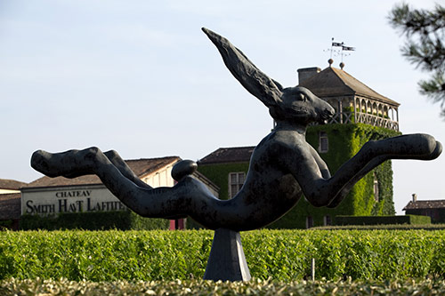 Château Smith Haut Lafitte - Jardin