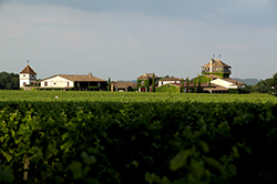 Château Smith Haut Lafitte - Graves - Grand Cru Classé