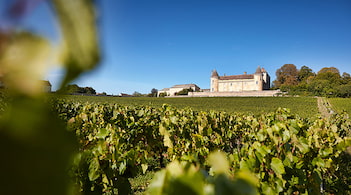 Clos Antonin Rodet - Histoire 