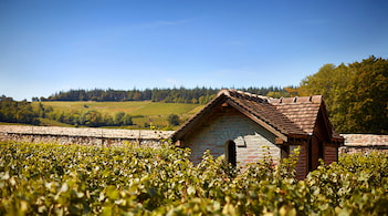 Clos Antonin Rodet - Estate tour and wine tasting