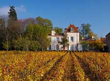 Domaine Comte Sénard - Lunch in Aloxe-Corton