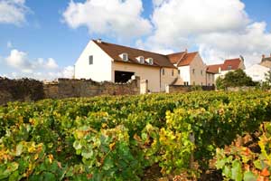 Domaine Boyer-Martenot - Burgundy - House