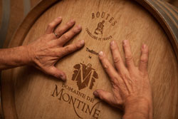 Domaine de Montine à Grignan