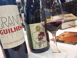 Languedoc-Roussillon wines from the Grand Guilhem Estate