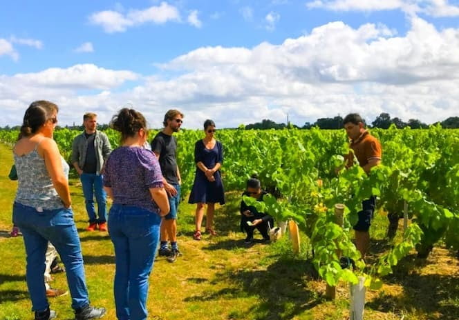 Domaine Raphaël Luneau - Val de Loire - Muscadet