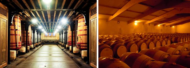 Wine cellar tour