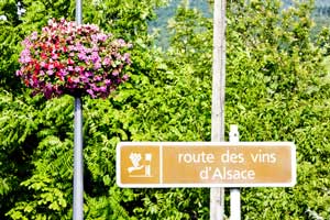 Alsace Wine Route