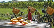 Balade en vélo et dégustations dans le vignoble champenois