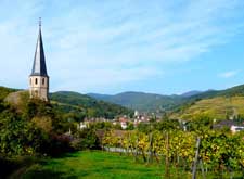 wine and gourmet escapade in Alsace