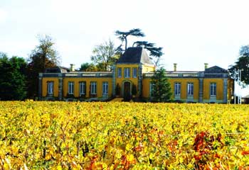 Domaine viticole entre Pauillac et Saint-Estèphe