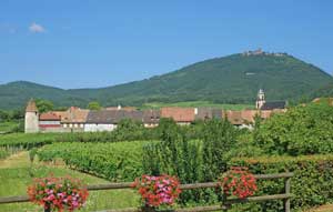 Visit Alsatian villages