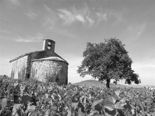 Domaine du Château de la Valette - Beaujolais - Vine