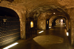 Cellars - Maison Moët & Chandon