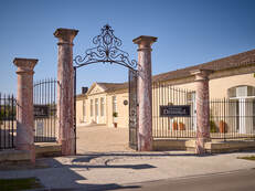 Biking on the roads of Saint Emilion vineyard