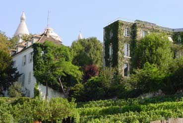 Route des vins Ile-de-France